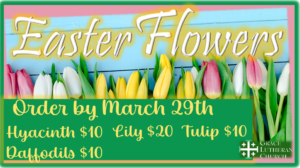 order easter flowers